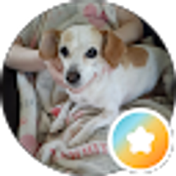Profile photo of Pineda Erin (Pineda Mom)