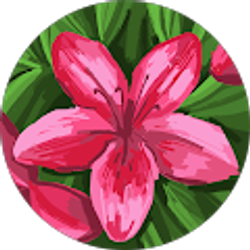 Profile photo of Olivia Pattee