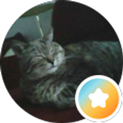 Profile photo of Terri Smith