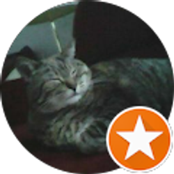 Profile photo of Terri Smith