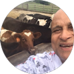 Profile photo of Mahadevan Ramaswamy