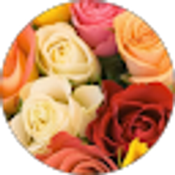 Profile photo of Rima Muniswamy