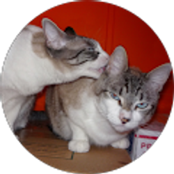 Profile photo of Kurt McPHERSON