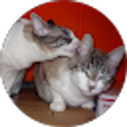 Profile photo of Kurt McPHERSON