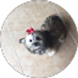 Profile photo of Juan Favela