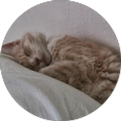 Profile photo of Jodie P