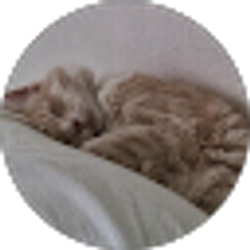 Profile photo of Jodie P