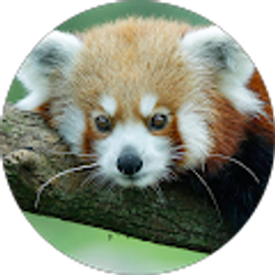 Profile photo of Priscilla Cooper