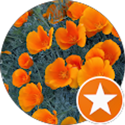 Profile photo of Ellen Cook