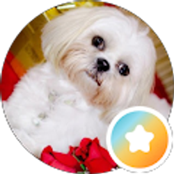 Profile photo of RAVI DUDEJA