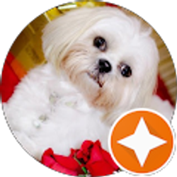 Profile photo of RAVI DUDEJA