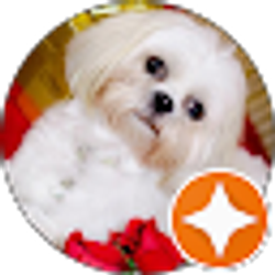 Profile photo of RAVI DUDEJA