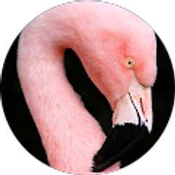 Profile photo of Karen D