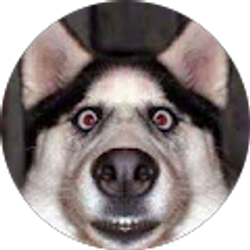 Profile photo of Bryce Harmon