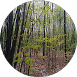 Profile photo of Constance Beliveau