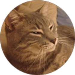 Profile photo of James Noble