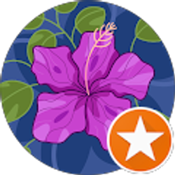 Profile photo of Andrea Springer