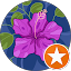 Profile photo of Andrea Springer