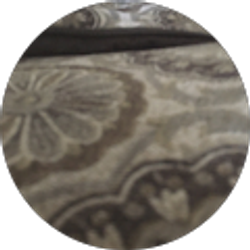 Profile photo of Aiden Hope