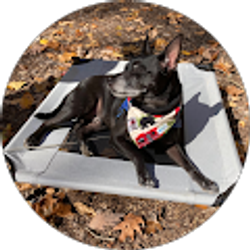 Profile photo of Karen Courtney