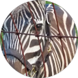 Profile photo of Lee Eckard