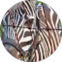 Profile photo of Lee Eckard