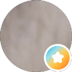 Profile photo of Wael Arnouk