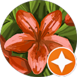 Profile photo of Melissa Frankart