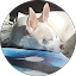 Profile photo of Berdell Moffett-Chaney