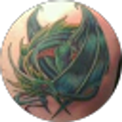 Profile photo of mike guy