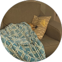 Profile photo of Pamela Reed