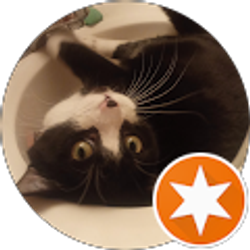 Profile photo of Crystal Lynn Johnson (Juju)