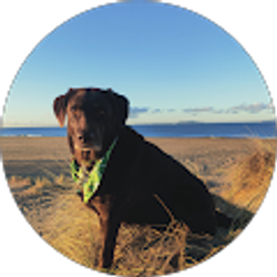 Profile photo of Roe Potwora