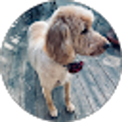 Profile photo of J Amoura