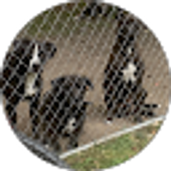 Profile photo of Steven Andrzejewski