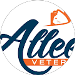 Profile photo of Lacy Allee