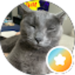 Profile photo of Brooklynne Maye