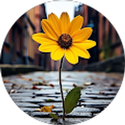 Profile photo of Kimberly McLaughlin