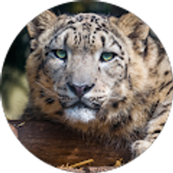 Profile photo of Michael Hilsenberg