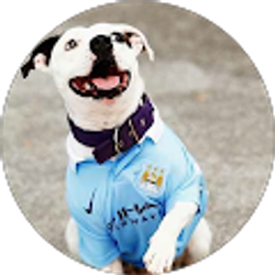 Profile photo of Alan Padilla