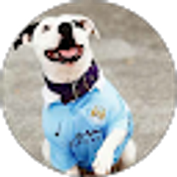 Profile photo of Alan Padilla