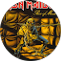 Profile photo of austin robertson