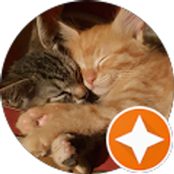 Profile photo of Kim Storz Harris