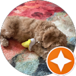 Profile photo of Shelley Vinson