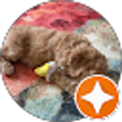 Profile photo of Shelley Vinson