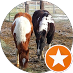 Profile photo of Donna Beck