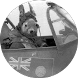 Profile photo of M B