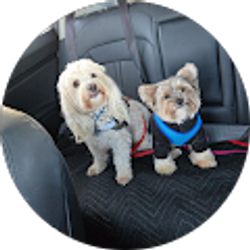 Profile photo of Fred Smlth