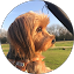 Profile photo of Stacie O'Neal