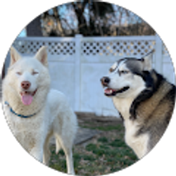 Profile photo of Matt Strosser